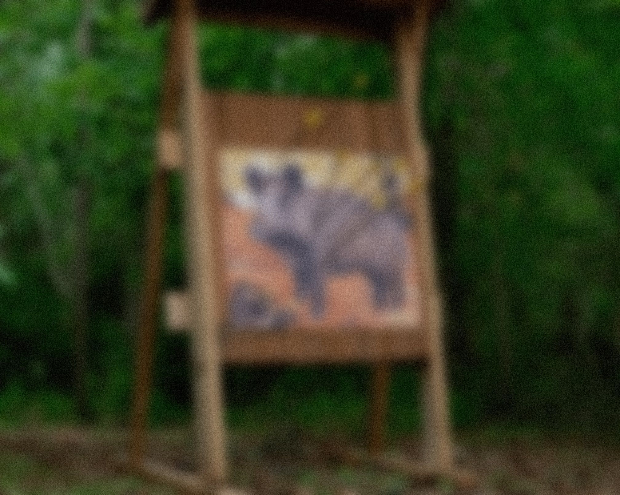 Bow hunting